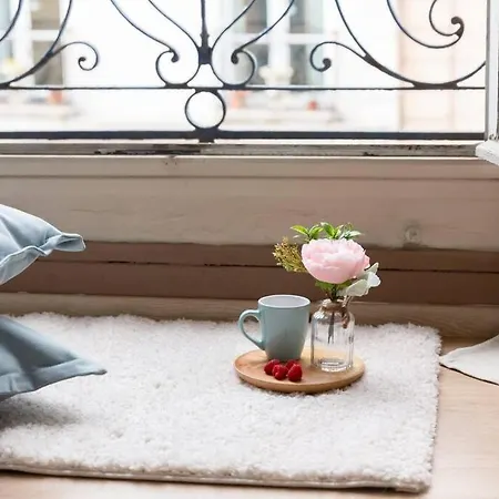 Daire Le Lumineux 50 M² Gare/chateau/wifi/netflix
